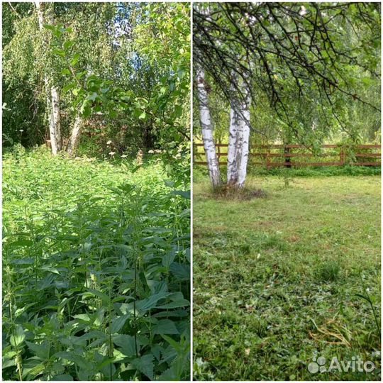 Покос травы, расчистка участка, вырубка кустарника