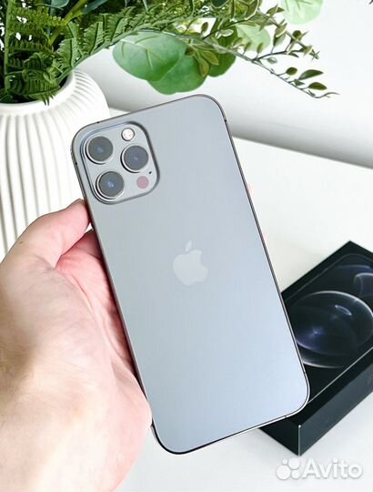 iPhone 12 Pro Max, 256 ГБ