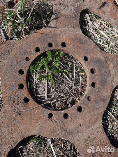 Звезда стз 5