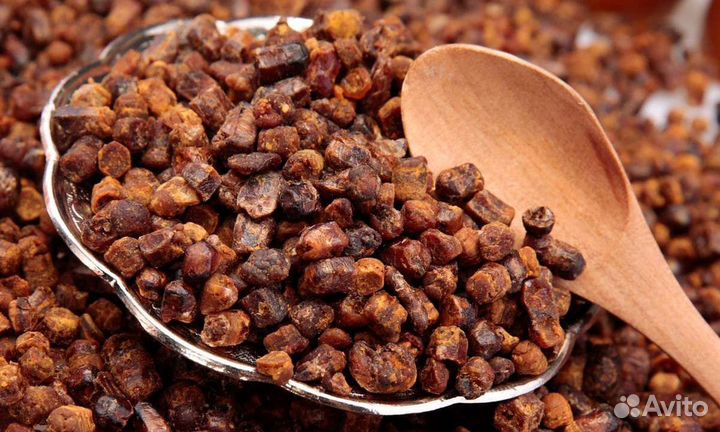 Перга пчелиная