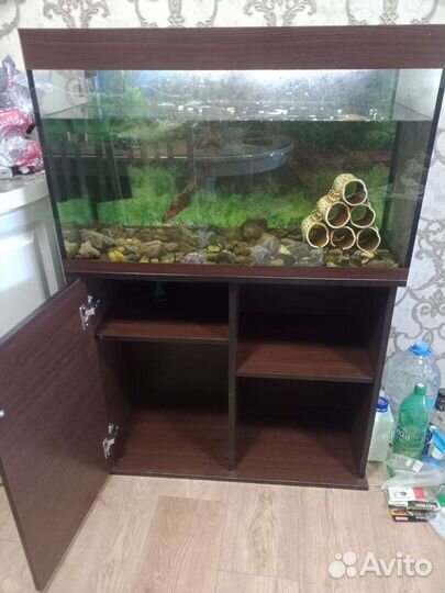Аквариум
