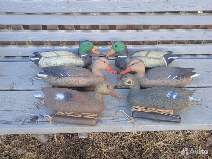 Продам чучела уток