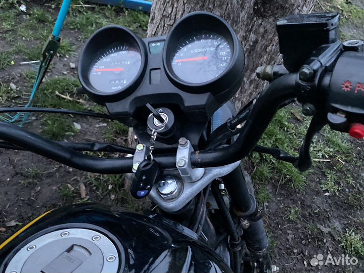 Альфа спорт