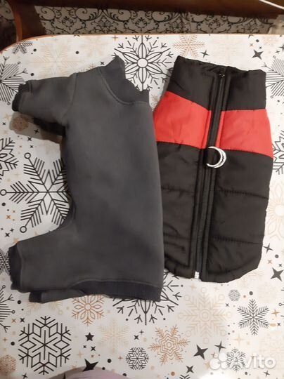 Одежда для собак