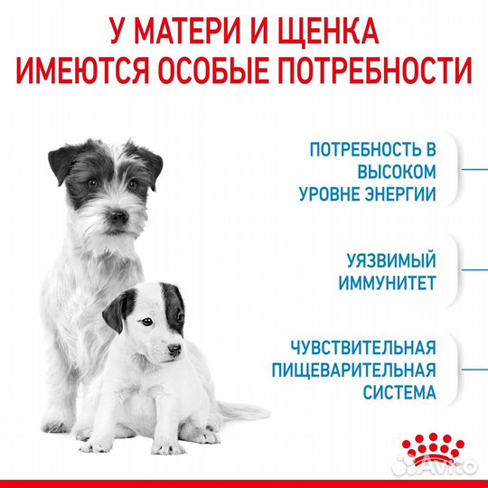 Корм Royal Canin сухой для щенков мелких размеров