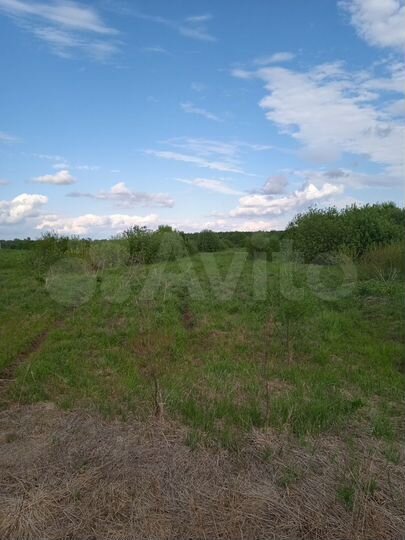 Участок 25 сот. (ИЖС)