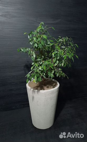 Вазоны, Горшки, Кашпо под заказ из бетона