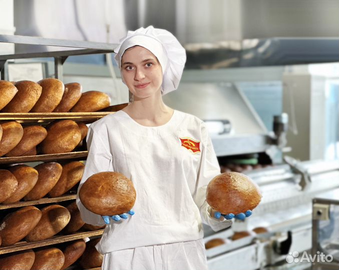 Тестовод в булочных цех