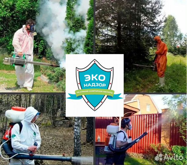 Уничтожение тараканов клопов комаров дезинфекция