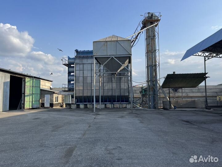 Оказывает услуги по сушке и хранению кукурузы