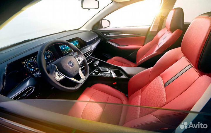 Трансфер. Трезвый водитель