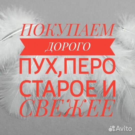 Пух, перо, подушки, перины