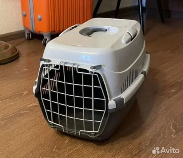 Переноска аренда