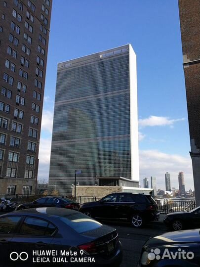 Репетитор Английского из США