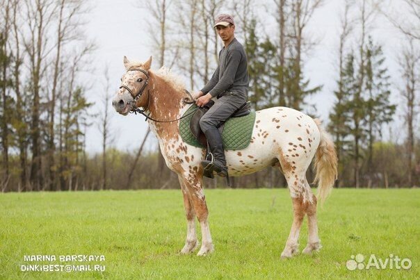 Эксклюзив яркий пони-класс