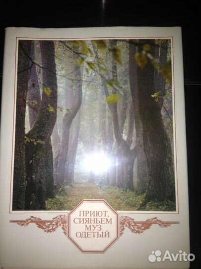 Приют, сияньем муз одетый - книга о А.С.Пушкине