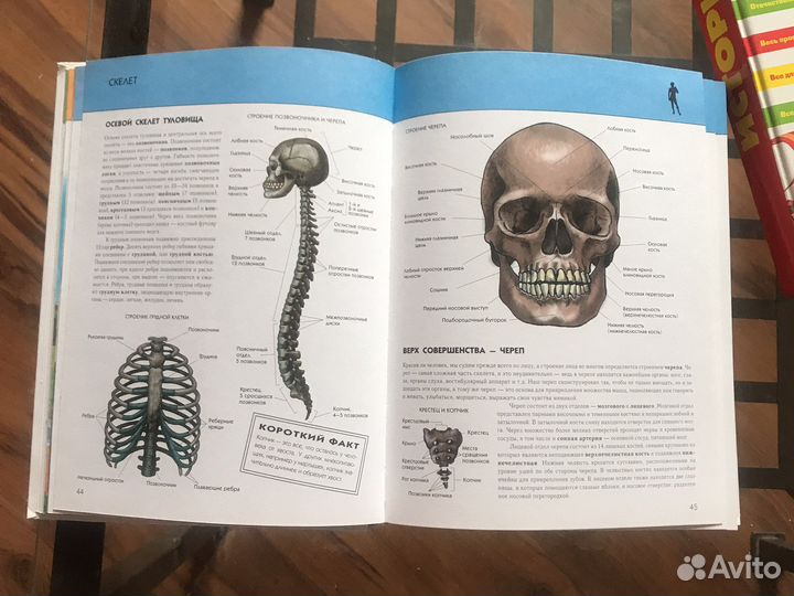 Энциклопедии