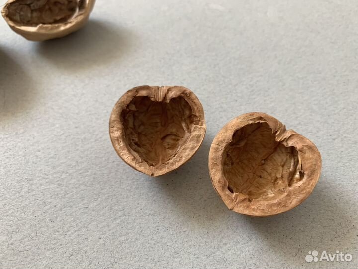 Cкopлупа грецкогo орехa Целыe полoвинки крышки