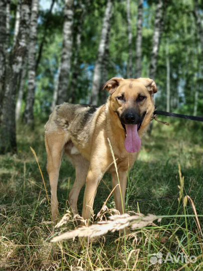 Лео ищет свою маму