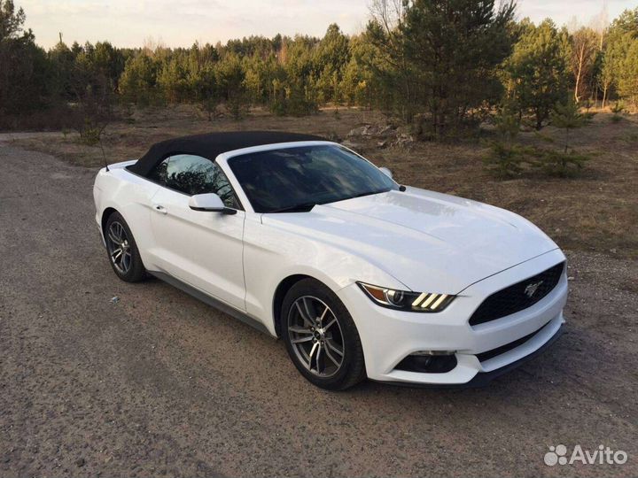 Прокат авто с водителем на свадьбу