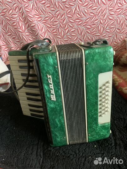 Аккордеон Юность