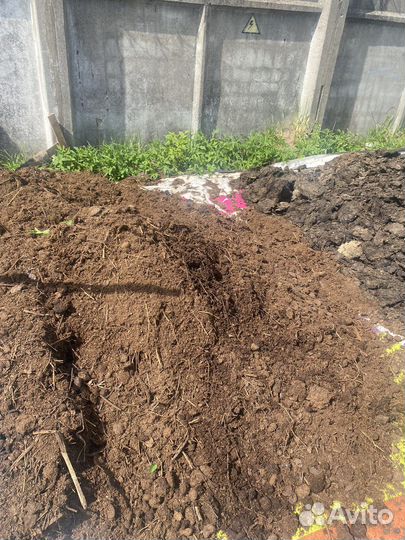 Конский навоз