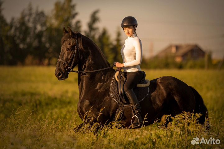 Конные прогулки