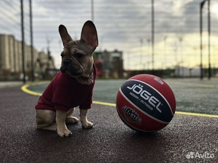 Мячик для баскетбола новый D4