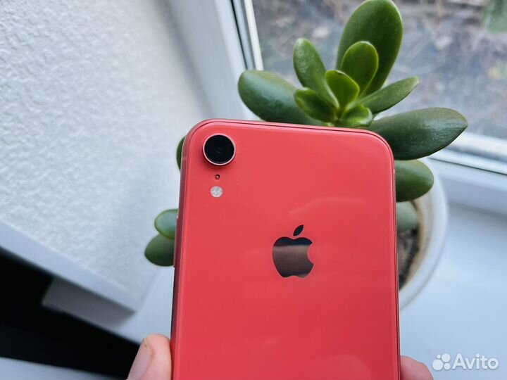 iPhone Xr, 256 ГБ