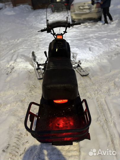 Dingo 125