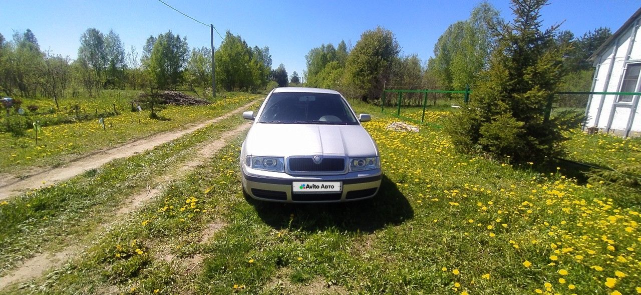 Skoda Octavia: фото владельца