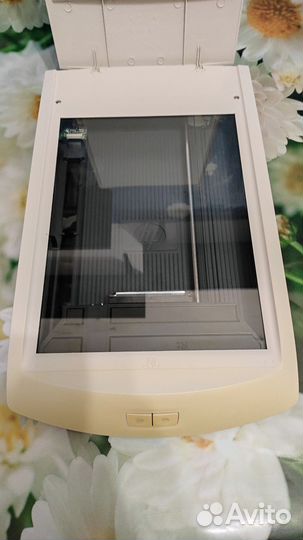 Сканер HP scanjet 2200C