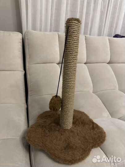 Когтеточка