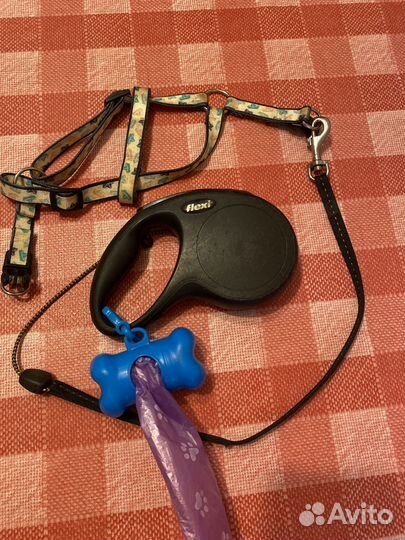 Поводок рулетка для собак flexi и шлейка