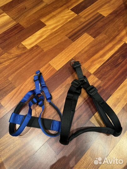 Амуниция для собак б/у