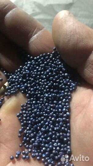 Семена Рапса