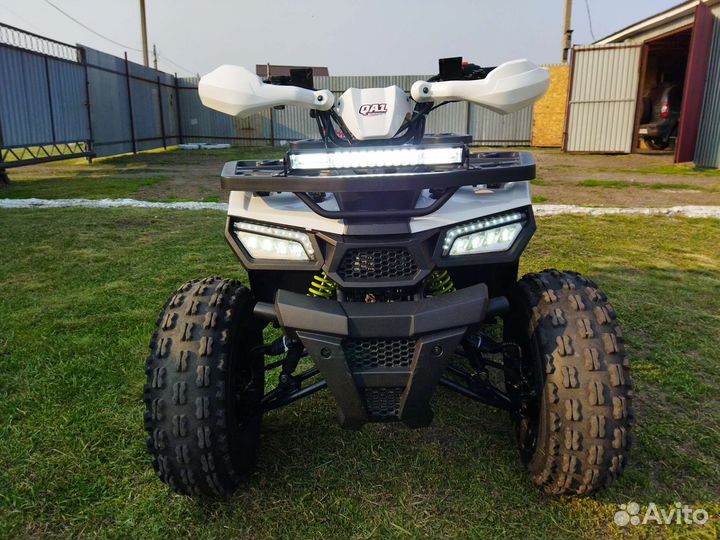 Motolenb wild 125