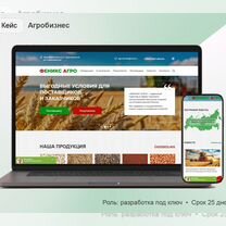 Создание сайтов под ключ. Интернет магазины, Ступино