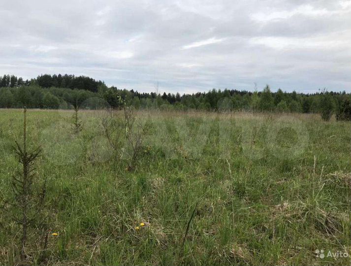Участок 6,8 га (СНТ, ДНП)