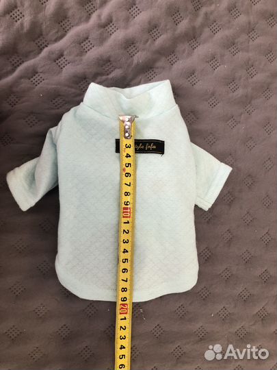 Одежда для собак