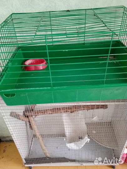 Клетка для грызунов