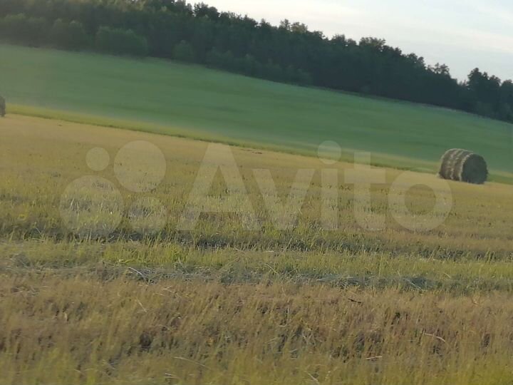 Участок 7,3 га (СНТ, ДНП)