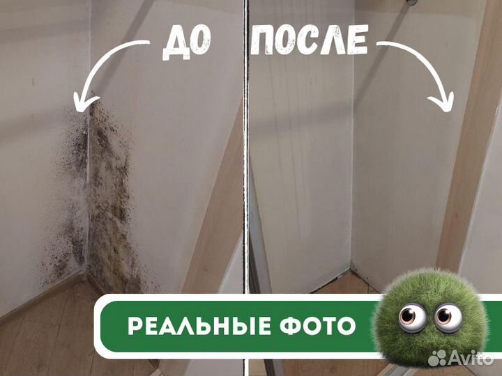 Дезинфекция дезинсекция дератизация