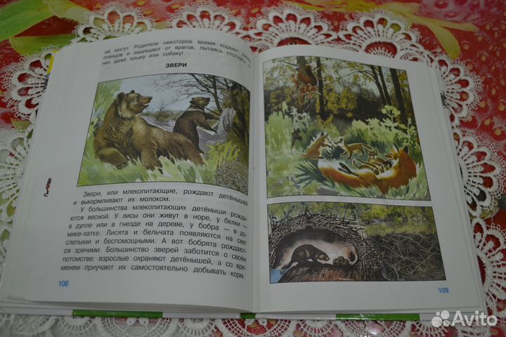 Учебник 2 части 