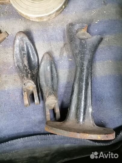 Лапа Сапожная