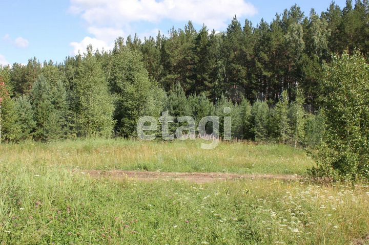 Участок 25 сот. (личное подсобное хозяйство (лпх))