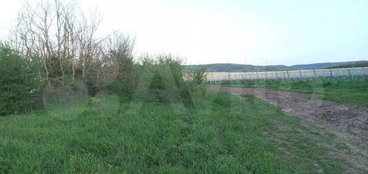 Участок 20 сот. (ИЖС)