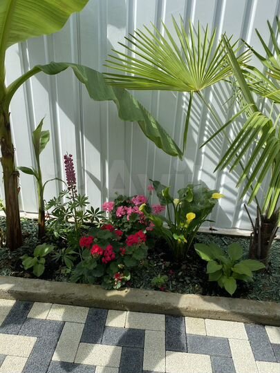 Дом 40 м² на участке 1 сот.