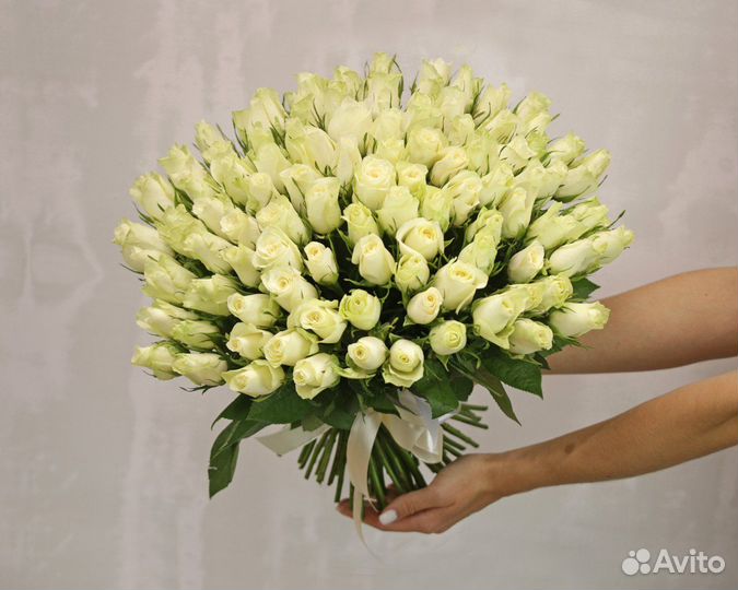 Букет из 101 белой розы 35-40 см (Кения)