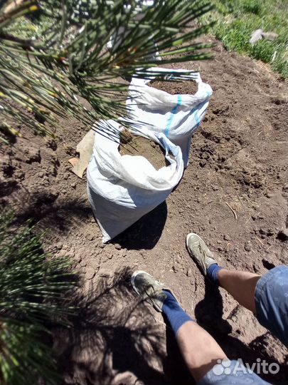 Чернозем отличный Навоз прелый готовый,15т,5т,мешк